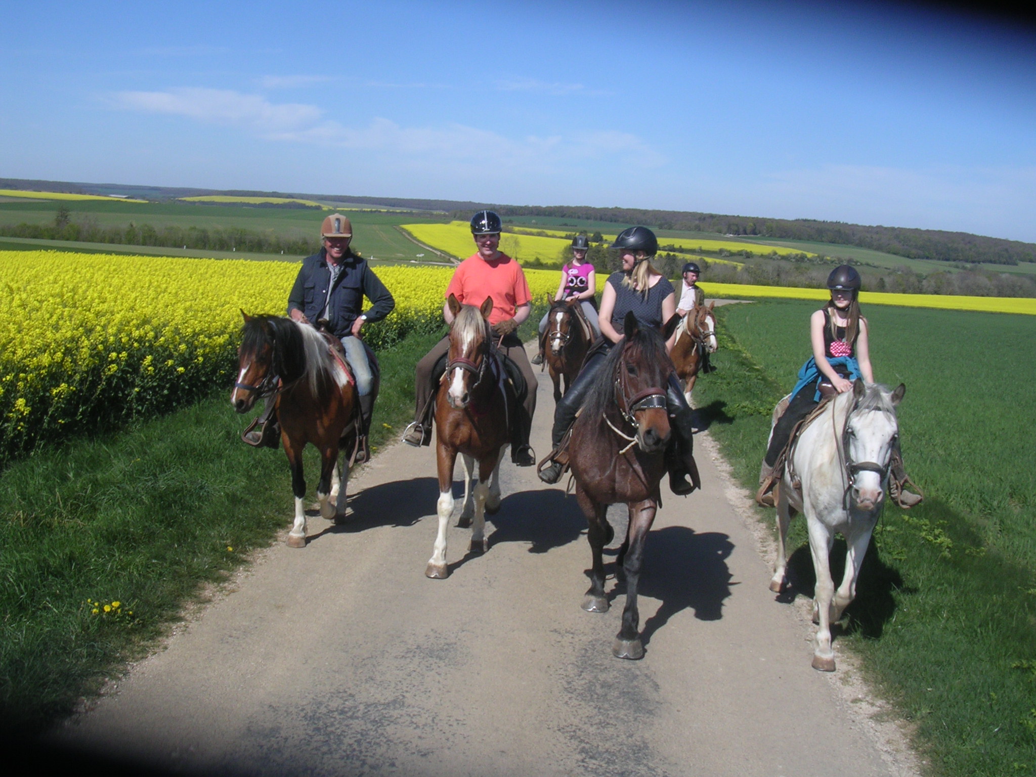 Horse back riding in France